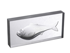 樣(yang)品展示(shi)